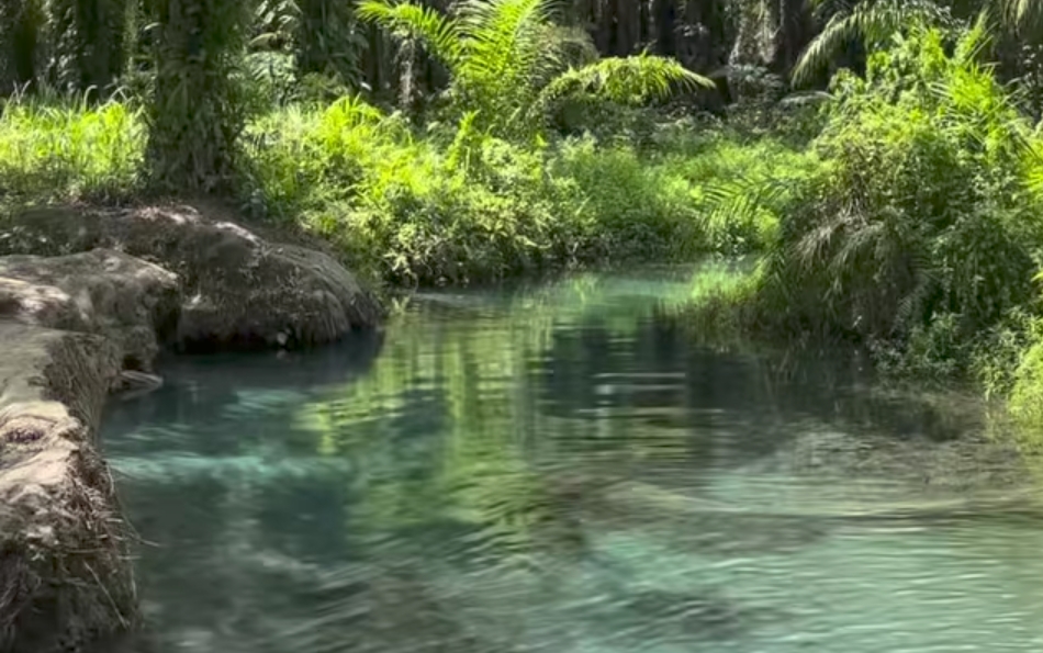 Kali Biru Manokwari Wisata Favorit Liburan Alami | Dok. Pegaf.com